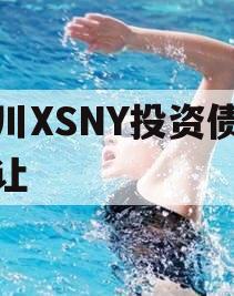 四川XSNY投资债权转让