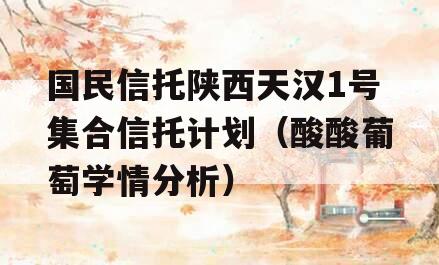 国民信托陕西天汉1号集合信托计划（酸酸葡萄学情分析）