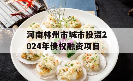 河南林州市城市投资2024年债权融资项目