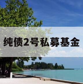 纯债2号私募基金