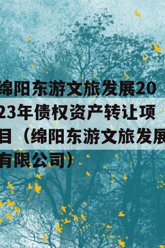 绵阳东游文旅发展2023年债权资产转让项目（绵阳东游文旅发展有限公司）