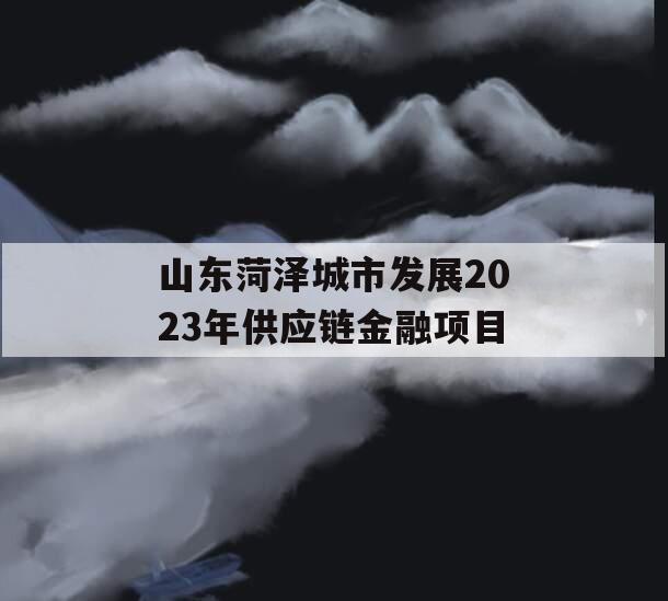 山东菏泽城市发展2023年供应链金融项目