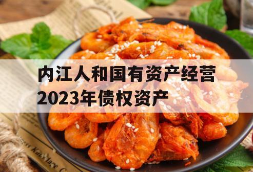 内江人和国有资产经营2023年债权资产