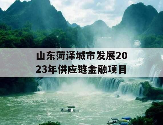 山东菏泽城市发展2023年供应链金融项目