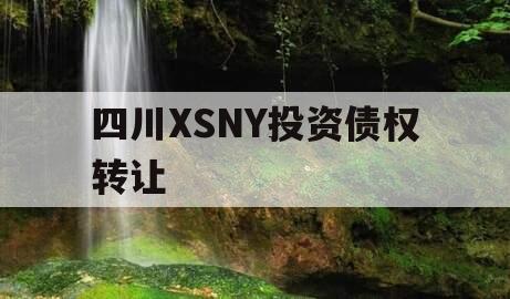 四川XSNY投资债权转让