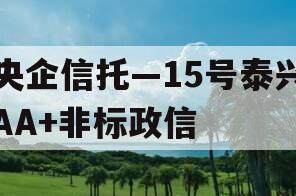 央企信托—15号泰兴AA+非标政信