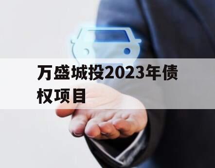 万盛城投2023年债权项目