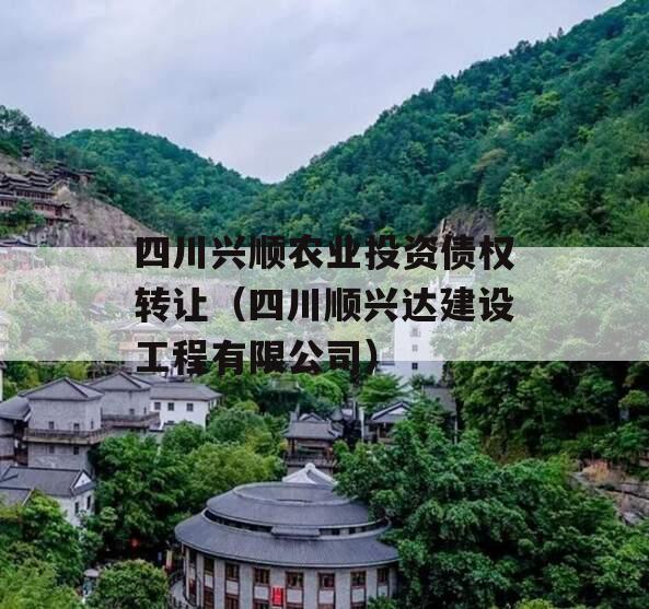 四川兴顺农业投资债权转让（四川顺兴达建设工程有限公司）