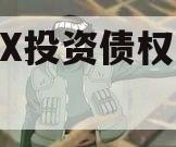 XXXX投资债权资产项目