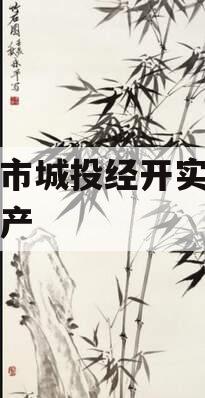 周口市城投经开实业债权资产