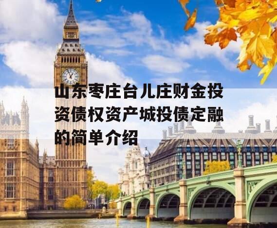 山东枣庄台儿庄财金投资债权资产城投债定融的简单介绍
