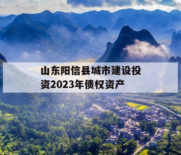 山东阳信县城市建设投资2023年债权资产