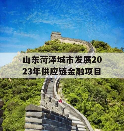 山东菏泽城市发展2023年供应链金融项目