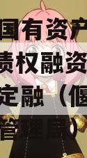 偃师市国有资产经营2024年债权融资计划城投债定融（偃师市国有资产管理局）