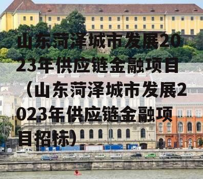 山东菏泽城市发展2023年供应链金融项目（山东菏泽城市发展2023年供应链金融项目招标）