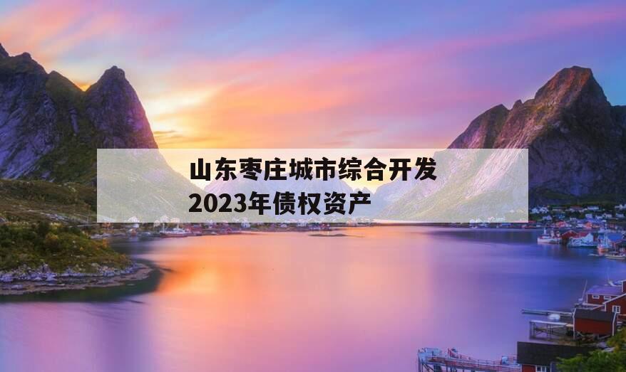山东枣庄城市综合开发2023年债权资产