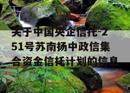 关于中国央企信托-251号苏南扬中政信集合资金信托计划的信息