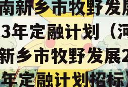 河南新乡市牧野发展2023年定融计划（河南新乡市牧野发展2023年定融计划招标）