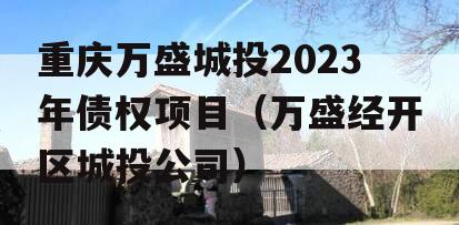 重庆万盛城投2023年债权项目（万盛经开区城投公司）