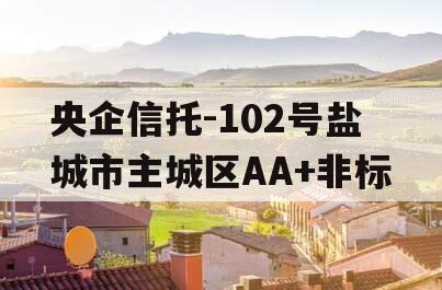 央企信托-102号盐城市主城区AA+非标