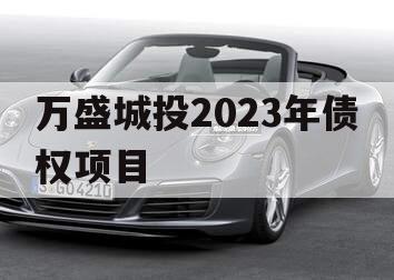 万盛城投2023年债权项目