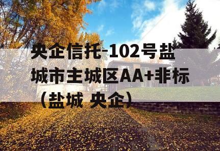 央企信托-102号盐城市主城区AA+非标（盐城 央企）