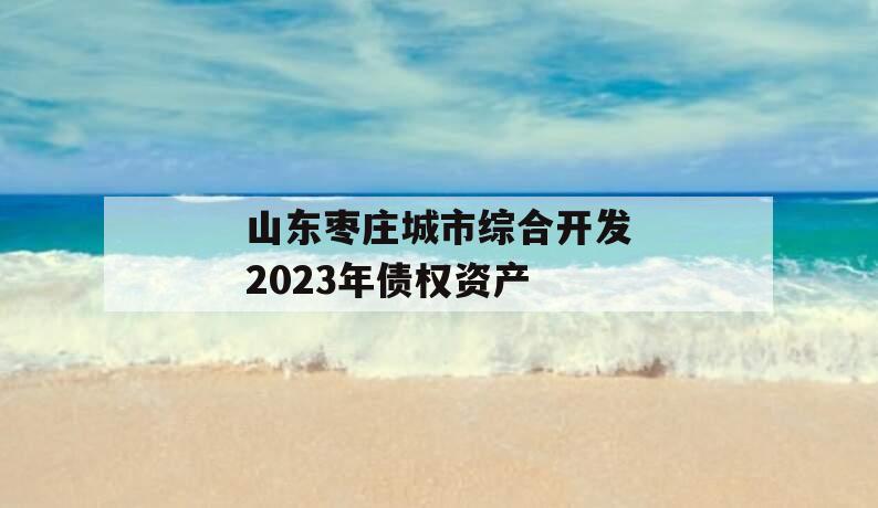 山东枣庄城市综合开发2023年债权资产