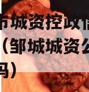 邹城市城资控政信债权转让（邹城城资公司是国企吗）