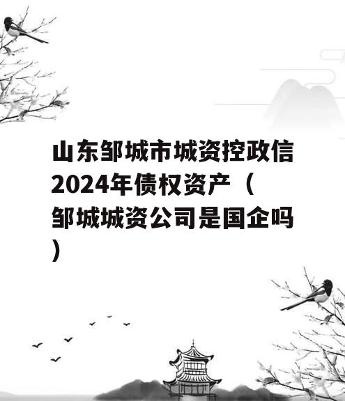 山东邹城市城资控政信2024年债权资产（邹城城资公司是国企吗）