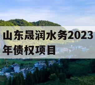 山东晟润水务2023年债权项目