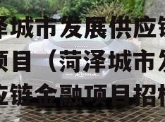 菏泽城市发展供应链金融项目（菏泽城市发展供应链金融项目招标）