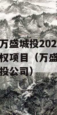 重庆万盛城投2024年债权项目（万盛经开区城投公司）
