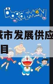 HZ城市发展供应链金融项目