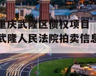 重庆武隆区债权项目（武隆人民法院拍卖信息）