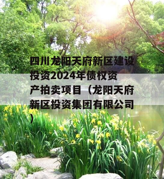 四川龙阳天府新区建设投资2024年债权资产拍卖项目（龙阳天府新区投资集团有限公司）