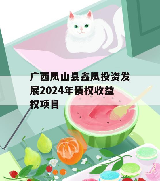 广西凤山县鑫凤投资发展2024年债权收益权项目
