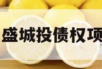 万盛城投债权项目