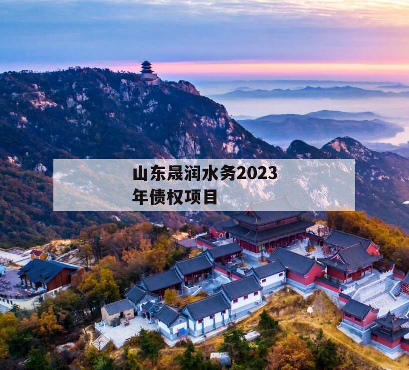 山东晟润水务2023年债权项目