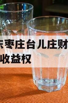 山东枣庄台儿庄财金D1号收益权