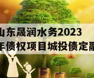 山东晟润水务2023年债权项目城投债定融