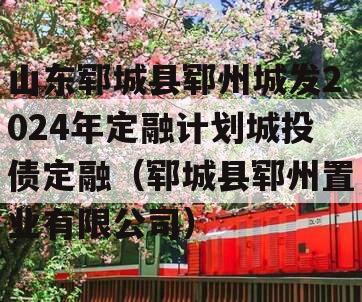 山东郓城县郓州城发2024年定融计划城投债定融（郓城县郓州置业有限公司）