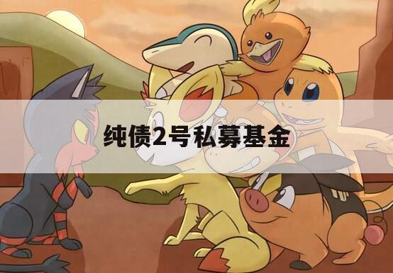 纯债2号私募基金