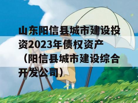 山东阳信县城市建设投资2023年债权资产（阳信县城市建设综合开发公司）