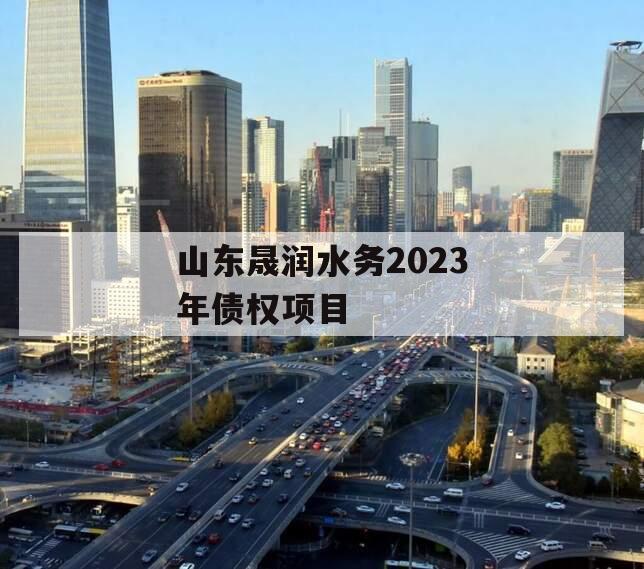 山东晟润水务2023年债权项目
