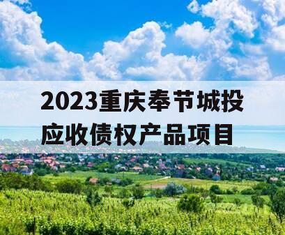 2023重庆奉节城投应收债权产品项目