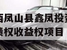 广西凤山县鑫凤投资发展债权收益权项目