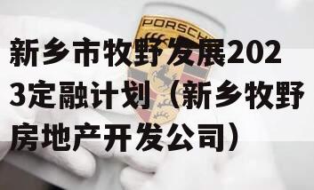 新乡市牧野发展2023定融计划（新乡牧野房地产开发公司）