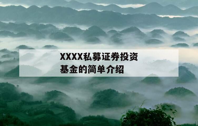 XXXX私募证券投资基金的简单介绍
