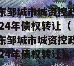 山东邹城市城资控政信2024年债权转让（山东邹城市城资控政信2024年债权转让）