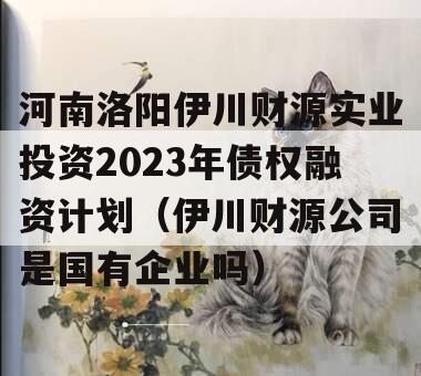 河南洛阳伊川财源实业投资2023年债权融资计划（伊川财源公司是国有企业吗）